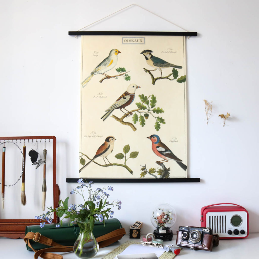 affiche naturaliste oiseaux