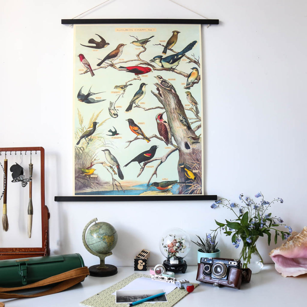 affiche oiseaux audubon