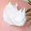 Kit de pliage papier trophée Rhinocéros blanc - Assembli