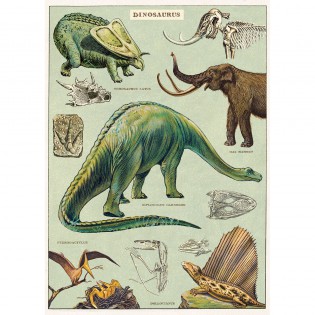Affiche pédagogique dinosaures - Cavallini & Co 2