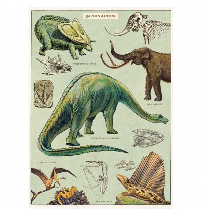 Affiche pédagogique dinosaures - Cavallini & Co