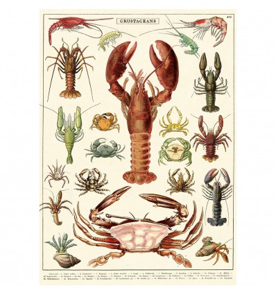 Affiche Crustacés - Cavallini & Co