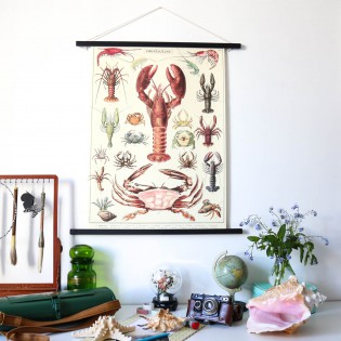 Affiche Crustacés - Cavallini & Co