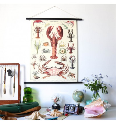 Affiche Crustacés - Cavallini & Co