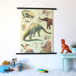Affiche pédagogique dinosaures - Cavallini & Co