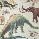 Affiche pédagogique dinosaures - Cavallini & Co