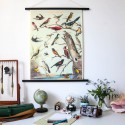 Affiche vintage oiseaux Audubon - Cavallini & Co