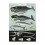 Affiche baleines - Cavallini & Co