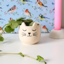 Mini pot pour plante chat - Sass & Belle