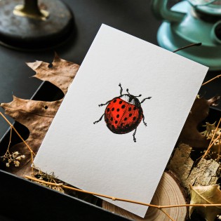 Carte Letterpress Coccinelle - Pappus Editions