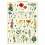 Affiche fleurs Spécimens sauvages - Cavallini & Co