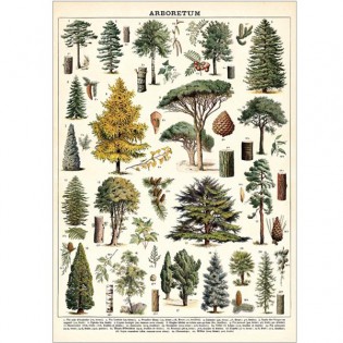 Affiche arbres de la forêt rétro - Cavallini 2