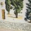 Affiche arbres de la forêt rétro - Cavallini