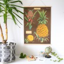 Affiche rétro ananas - Cavallini