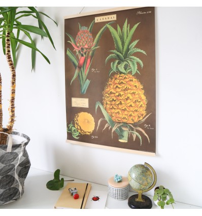 Affiche rétro ananas - Cavallini