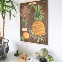 Affiche rétro ananas - Cavallini