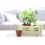 Mini caisse AY-KASA lime cream