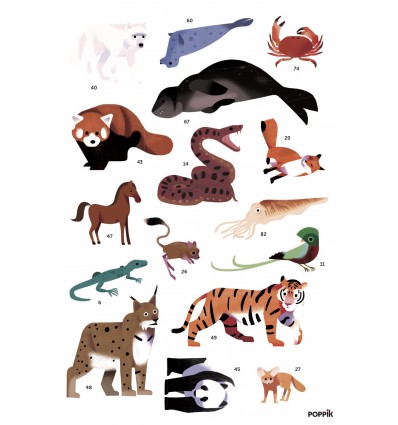 Poster & stickers Animaux du Monde - Poppik