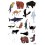 Poster & stickers Animaux du Monde - Poppik