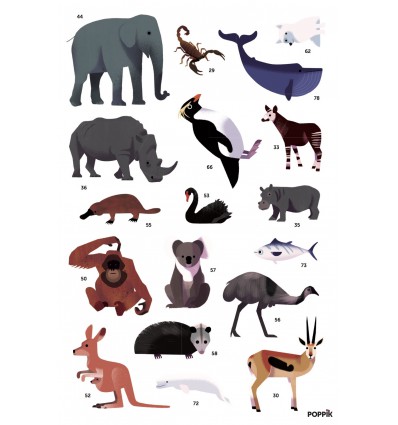 Poster & stickers Animaux du Monde - Poppik