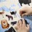 Poster & stickers Animaux du Monde - Poppik