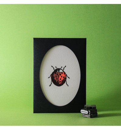 Carte Letterpress Coccinelle