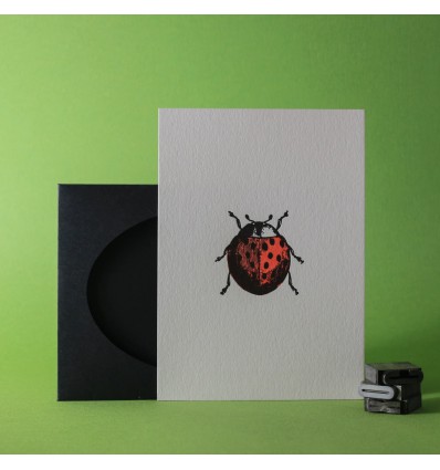 Carte Letterpress Coccinelle