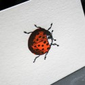 Carte Letterpress Coccinelle