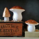 Lampe veilleuse champignon Cuivre (L) - Egmont Toys
