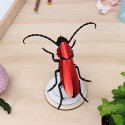 Insecte DIY Rosalia Beetle Rouge - Assembli