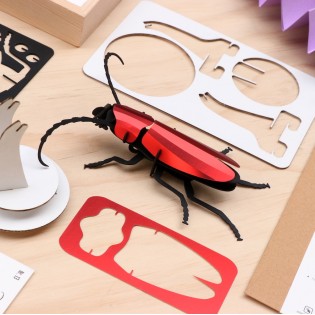 Insecte DIY Rosalia Beetle Rouge - Assembli 2