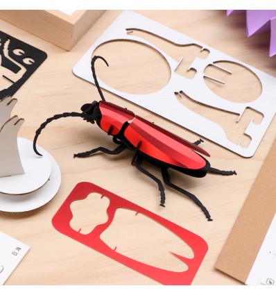 Insecte DIY Rosalia Beetle Rouge - Assembli