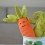 Peluche Carotte Vivacious - Jellycat