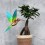 Oiseau DIY Colibri Jaune & Bleu - Assembli