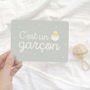 Carte "C'est un garçon" - Zü (zu)