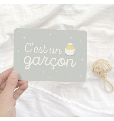 Carte "C'est un garçon" - Zü (zu)