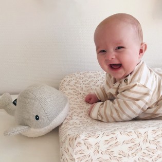 Peluche Bruits Blancs baleine grise - Flow 2