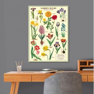 Affiche Bulbes du Jardin - Cavallini & Co 2