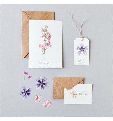 Fleurs pressées Rose Violet - Rico Design