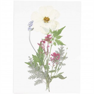 Fleurs pressées Blanc Violet - Rico Design