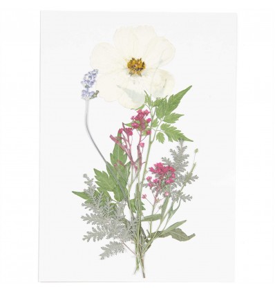 Fleurs pressées Blanc Violet - Rico Design