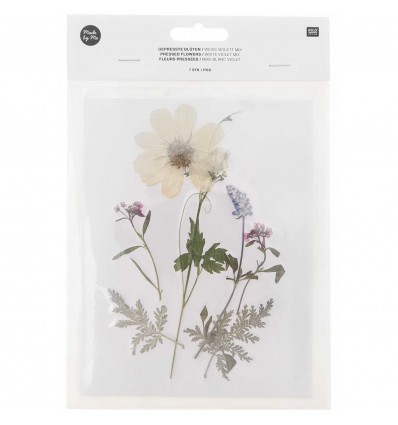 Fleurs pressées Blanc Violet - Rico Design