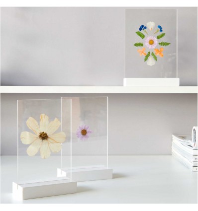 Fleurs pressées Blanc Violet - Rico Design