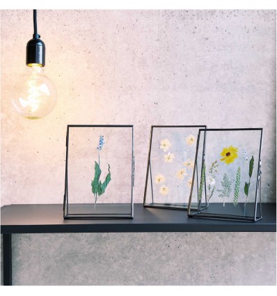 Fleurs pressées Nature Orange - Rico Design