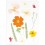 Fleurs pressées Nature Orange - Rico Design