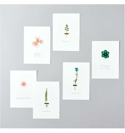 Fleurs pressées Orange Turquoise - Rico Design