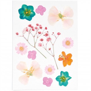Fleurs pressées Orange Turquoise - Rico Design