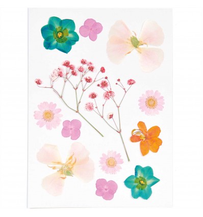 Fleurs pressées Orange Turquoise - Rico Design