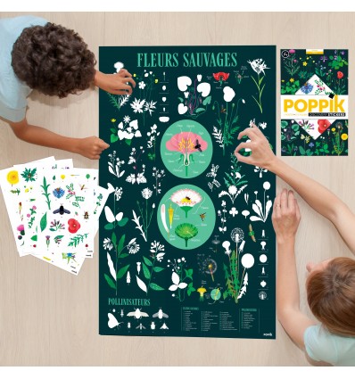 Poster & stickers Botanique - Poppik
