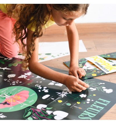 Poster & stickers Botanique - Poppik
